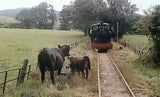 Pathé Railway Pictorial
